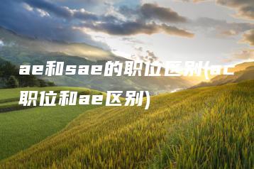 ae和sae的职位区别(ac职位和ae区别) | ae插件合集