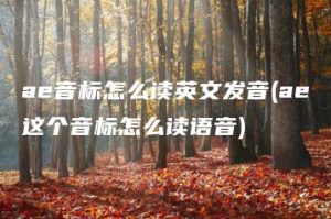 ae音标怎么读英文发音(ae这个音标怎么读语音) | ae插件合集