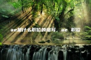 ae是什么职位的缩写，ae 职位 | ae插件合集