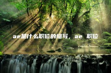 ae是什么职位的缩写，ae 职位 | ae插件合集