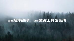 ae插件破译，ae破解工具怎么用 | ae插件合集
