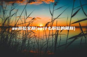 ae岗位全称(ae什么职位的简称) | ae插件合集
