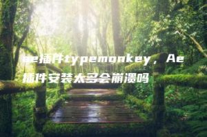 ae插件typemonkey，Ae插件安装太多会崩溃吗 | ae插件合集