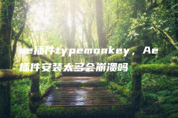 ae插件typemonkey，Ae插件安装太多会崩溃吗 | ae插件合集