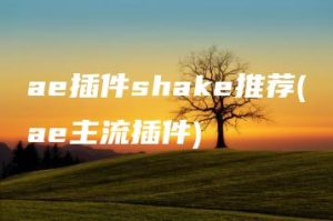 ae插件shake推荐(ae主流插件) | ae插件合集