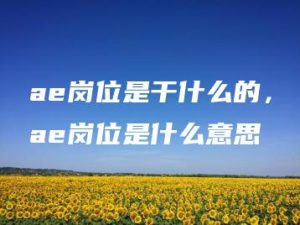 ae岗位是干什么的，ae岗位是什么意思 | ae插件合集