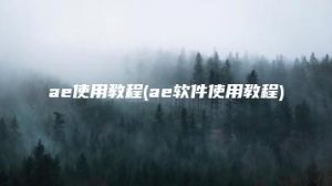 ae使用教程(ae软件使用教程) | ae插件合集