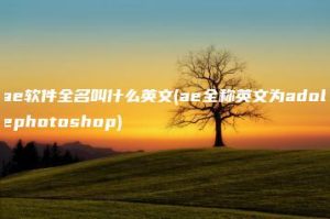 ae软件全名叫什么英文(ae全称英文为adobephotoshop) | ae插件合集