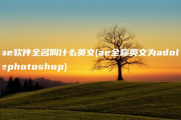 ae软件全名叫什么英文(ae全称英文为adobephotoshop) | ae插件合集