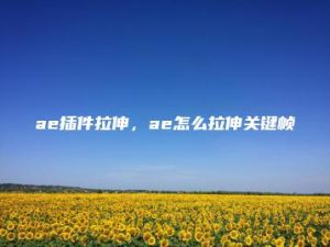 ae插件拉伸，ae怎么拉伸关键帧 | ae插件合集