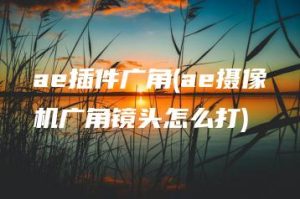 ae插件广角(ae摄像机广角镜头怎么打) | ae插件合集