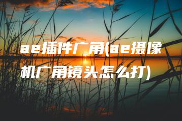 ae插件广角(ae摄像机广角镜头怎么打) | ae插件合集