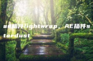 ae插件lightwrap，AE插件stardust | ae插件合集