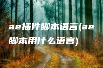 ae插件脚本语言(ae脚本用什么语言) | ae插件合集