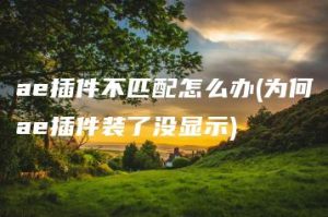 ae插件不匹配怎么办(为何ae插件装了没显示) | ae插件合集