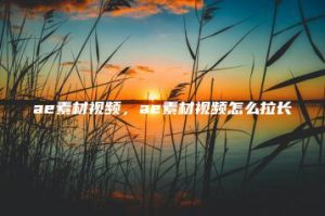 ae素材视频，ae素材视频怎么拉长 | ae插件合集