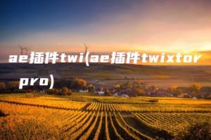 ae插件twi(ae插件twixtor pro) | ae插件合集