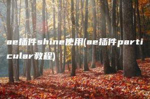 ae插件shine使用(ae插件particular教程) | ae插件合集