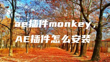 ae插件monkey，AE插件怎么安装 | ae插件合集