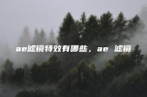 ae滤镜特效有哪些，ae 滤镜 | ae插件合集