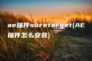 ae插件suretarget(AE插件怎么安装) | ae插件合集