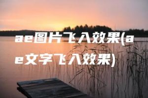 ae图片飞入效果(ae文字飞入效果) | ae插件合集