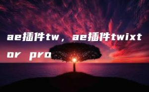 ae插件tw，ae插件twixtor pro | ae插件合集