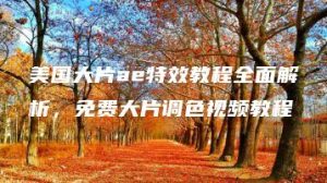 美国大片ae特效教程全面解析，免费大片调色视频教程 | ae插件合集