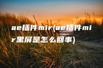 ae插件mir(ae插件mir黑屏是怎么回事) | ae插件合集