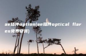 ae插件option(ae插件optical flares免费安装) | ae插件合集