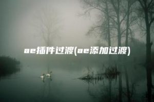 ae插件过渡(ae添加过渡) | ae插件合集