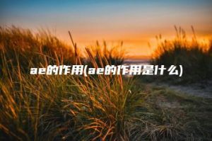 ae的作用(ae的作用是什么) | ae插件合集