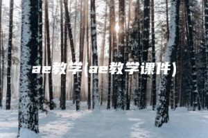 ae教学(ae教学课件) | ae插件合集