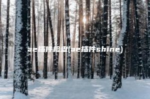 ae插件检查(ae插件shine) | ae插件合集