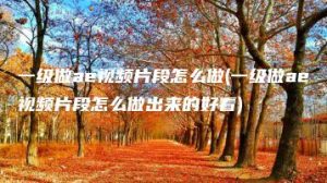 一级做ae视频片段怎么做(一级做ae视频片段怎么做出来的好看) | ae插件合集