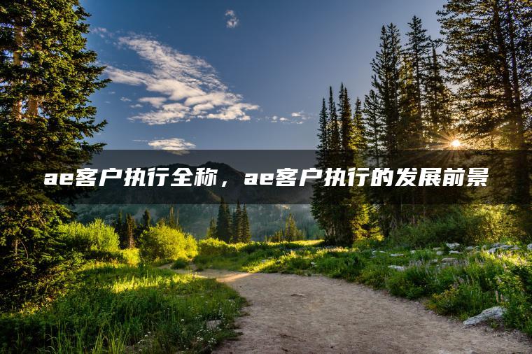 ae客户执行全称，ae客户执行的发展前景