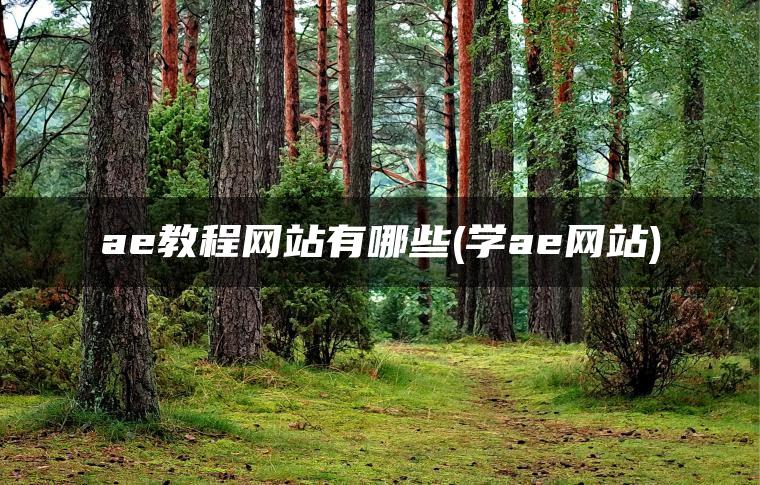 ae教程网站有哪些(学ae网站)