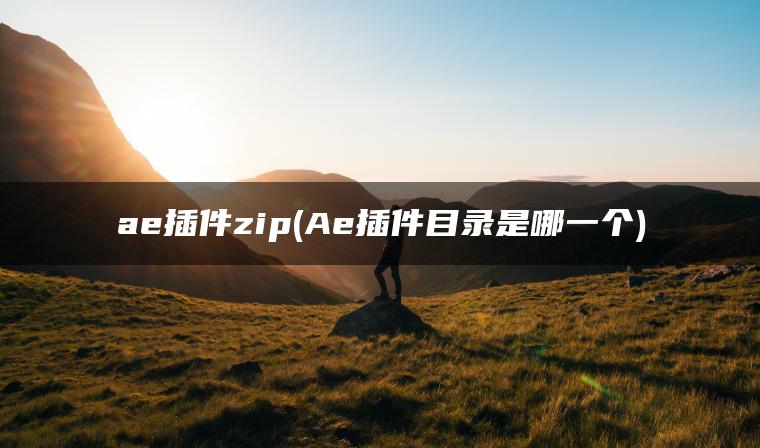 ae插件zip(Ae插件目录是哪一个)
