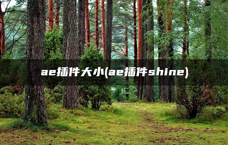 图片[1] | ae插件大小(ae插件shine) | ae插件合集