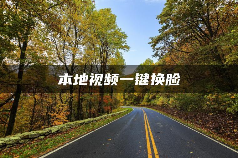 本地视频一键换脸