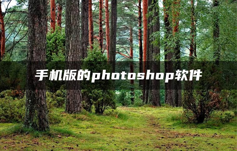 手机版的photoshop软件