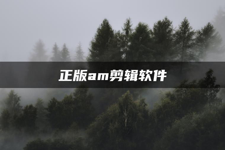 正版am剪辑软件