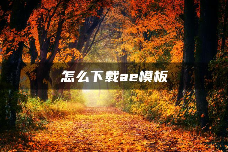 怎么下载ae模板