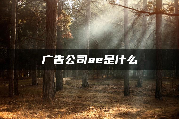 图片[1] | 广告公司ae是什么 | ae插件合集