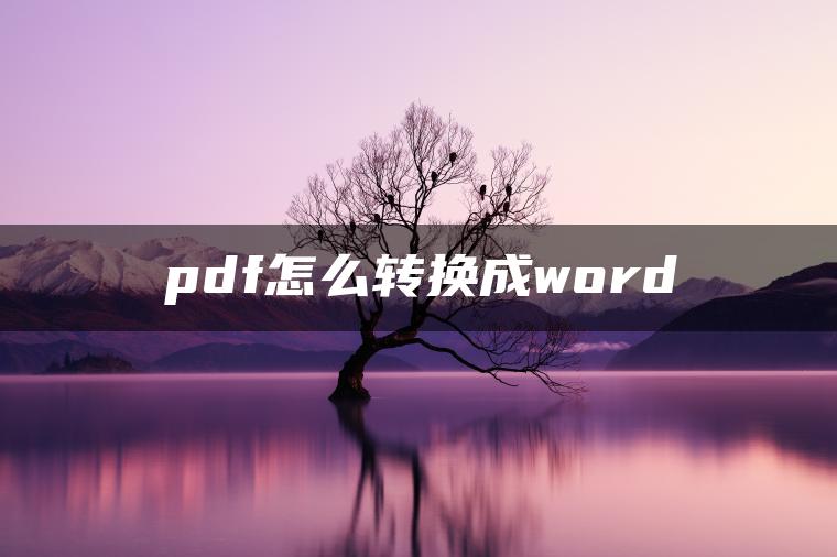 pdf怎么转换成word