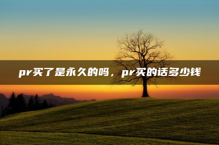 图片[1] | pr买了是永久的吗，pr买的话多少钱 | ae插件合集