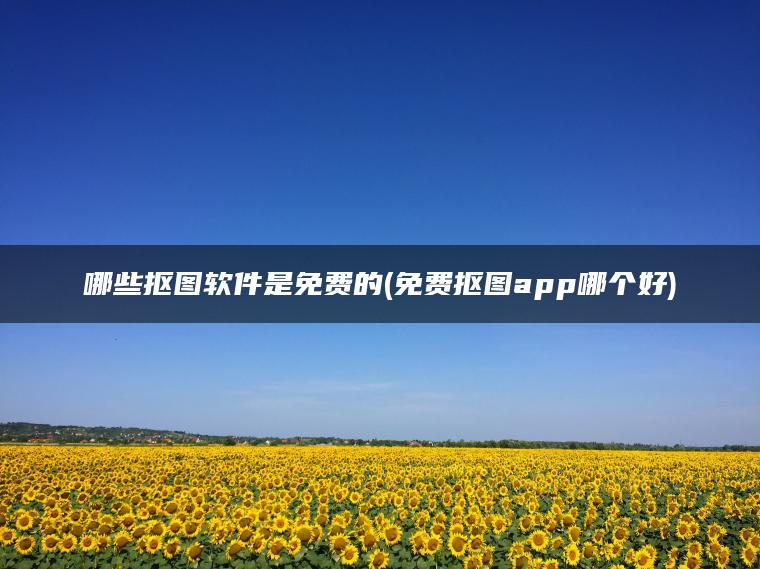 哪些抠图软件是免费的(免费抠图app哪个好)