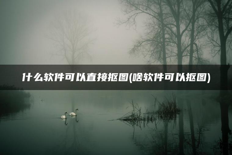 什么软件可以直接抠图(啥软件可以抠图)