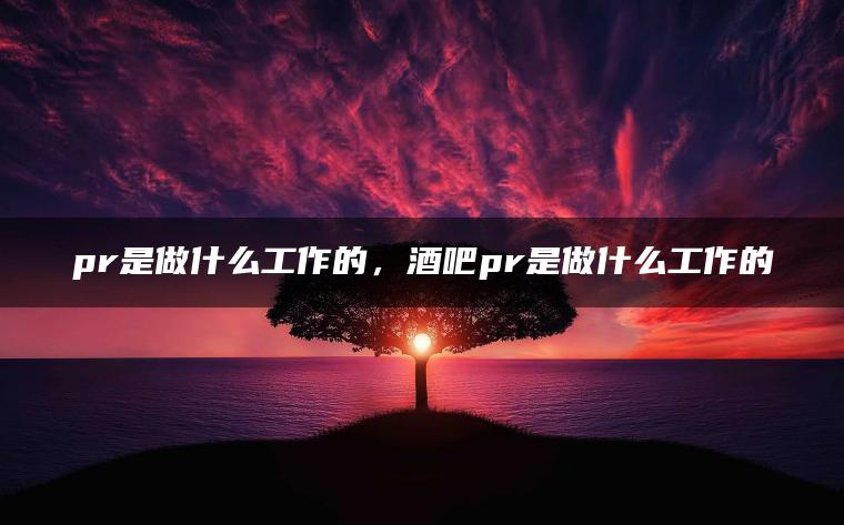 pr是做什么工作的，酒吧pr是做什么工作的