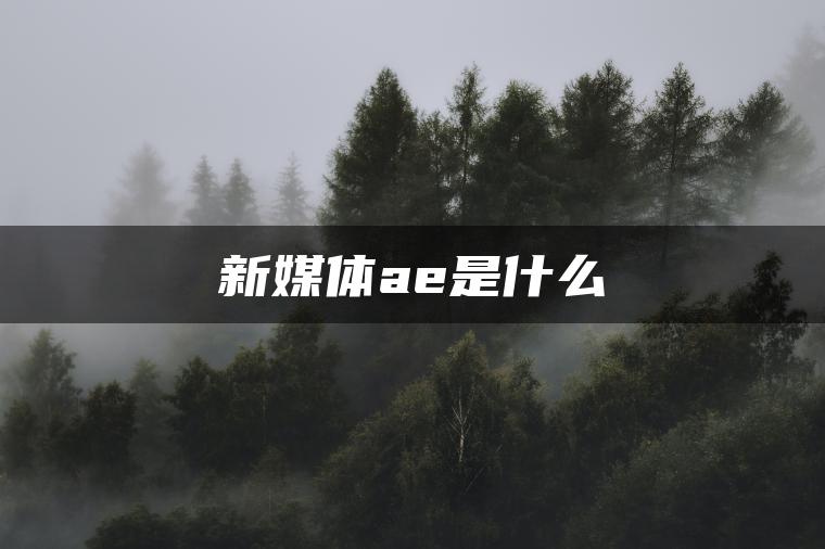 图片[1] | 新媒体ae是什么 | ae插件合集